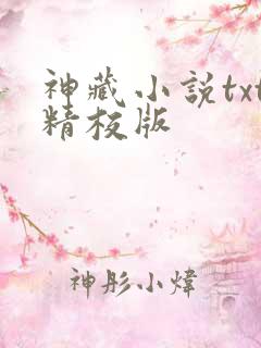 神藏小说txt精校版