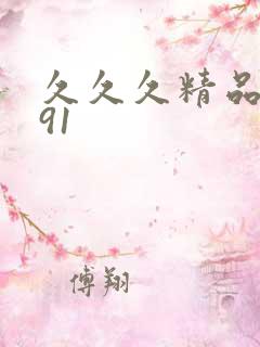 久久久精品国产91