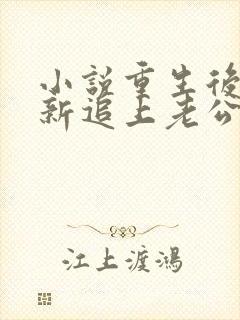 小说重生后我重新追上老公