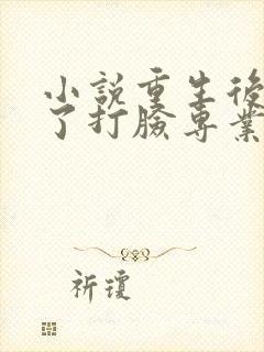 小说重生后我成了打脸专业户有多少章