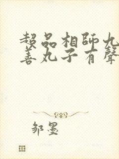 超品相师九灯和善丸子有声小说