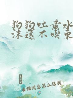 狗狗吐黄水带泡沫还不吃东西怎么办