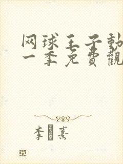 网球王子动漫第一季免费观看