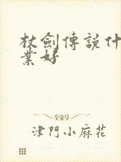 杖剑传说什么职业好