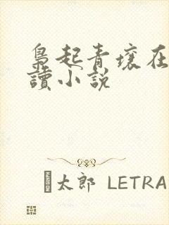 枭起青壤在线阅读小说