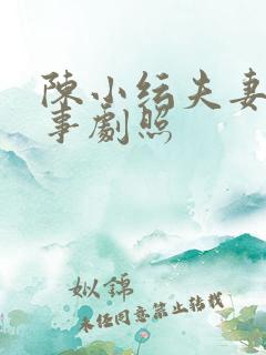 陈小纭夫妻那些事剧照