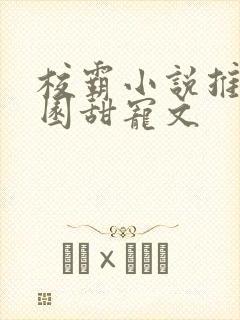 校霸小说推荐校园甜宠文