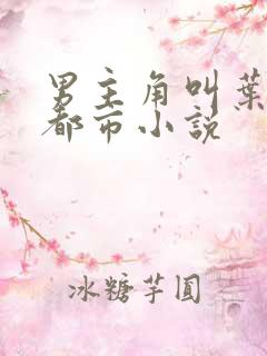 男主角叫叶天的都市小说