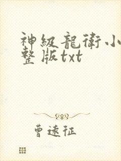 神级龙卫小说完整版txt