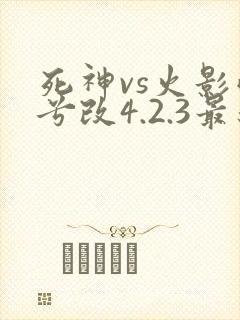 死神vs火影雨兮改4.2.3最新版本