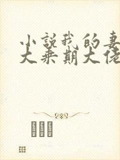 小说我的妻子是大乘期大佬txt下载