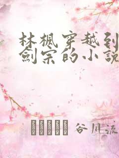 林枫穿越到神霄剑宗的小说