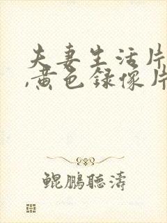 夫妻生活片一级,黄色录像片一级