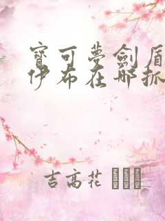 宝可梦剑盾仙子伊布在哪抓