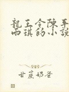 龙王令陈平,苏雨琪的小说