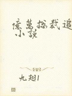 亿万总裁追甜妻 小说