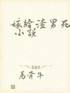 嫁给渣男死对头 小说