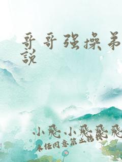 哥哥强操弟弟小说