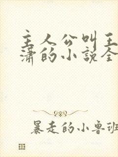 主人公叫王东唐潇的小说全文免费阅读笔趣阁