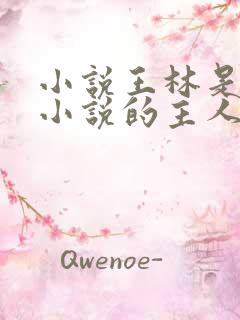小说王林是哪本小说的主人公