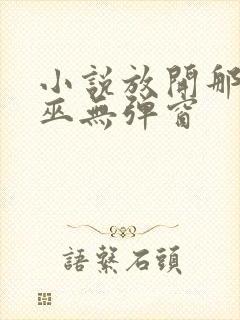 小说放开那个女巫无弹窗