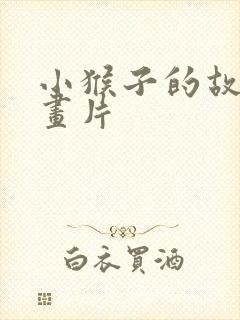 小猴子的故事动画片