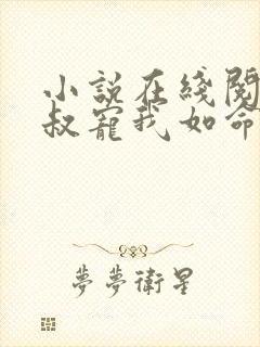 小说在线阅读皇叔宠我如命