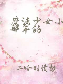 魔法少女小圆是哪年的