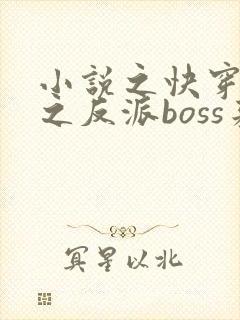 小说之快穿系统之反派boss来袭