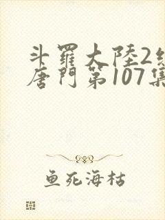 斗罗大陆2绝世唐门第107集