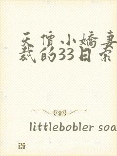 天价小娇妻:总裁的33日索情txt