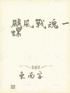 飓风战魂一代陀螺