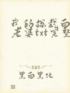 我的总裁白富美老婆txt完整无错版