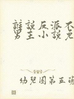 谁说反派不能当男主小说免费阅读