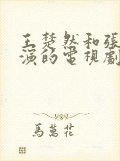 王楚然和张晚意演的电视剧