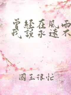 曾经在风雨中对我说永远不离开我