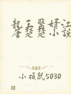 龙王医婿江辰,唐楚楚小说84