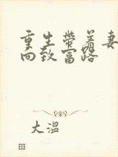 重生带着妻儿走向致富路