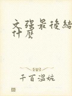 文强最后结局是什么