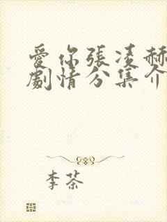 爱你张凌赫分集剧情分集介绍