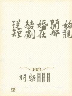 从结婚开始恋爱短剧在哪观看高清免费