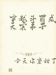 穿越斗罗成为昊天宗弟子