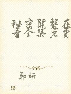 秘密关系在线观看全集免费