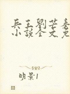 兵王刘芒秦沫沫小说全文免费