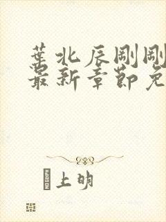 叶北辰刚刚更新最新章节免费阅读