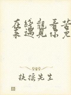 在线观看苦尽柑来遇见你免费