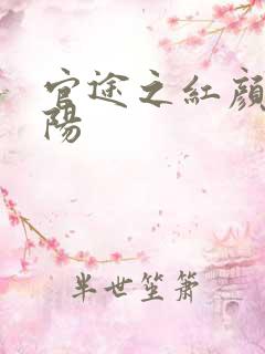 官途之红颜 陈阳