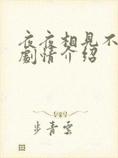 夜夜相见不识君剧情介绍