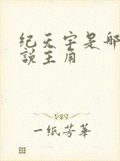 纪天宇是哪本小说主角