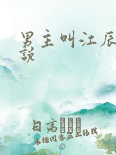 男主叫江辰的小说